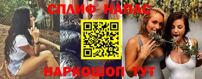 ГАЛЛЮЦИНОГЕННЫЕ ГРИБЫ Тара